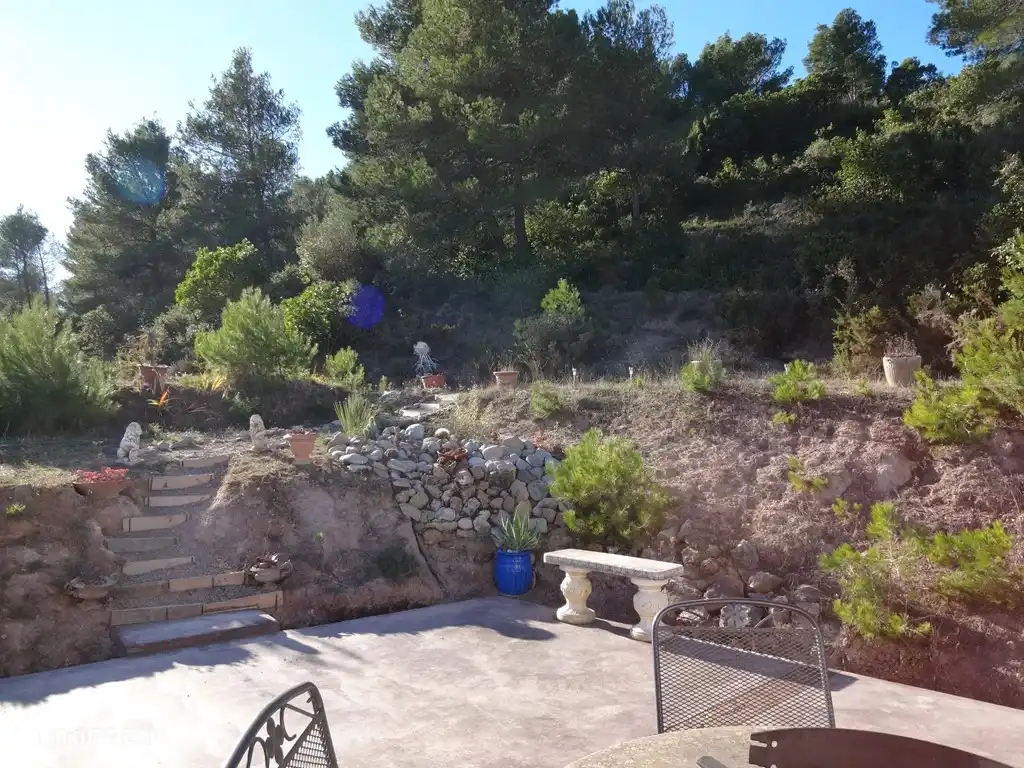 coin de jardin nature