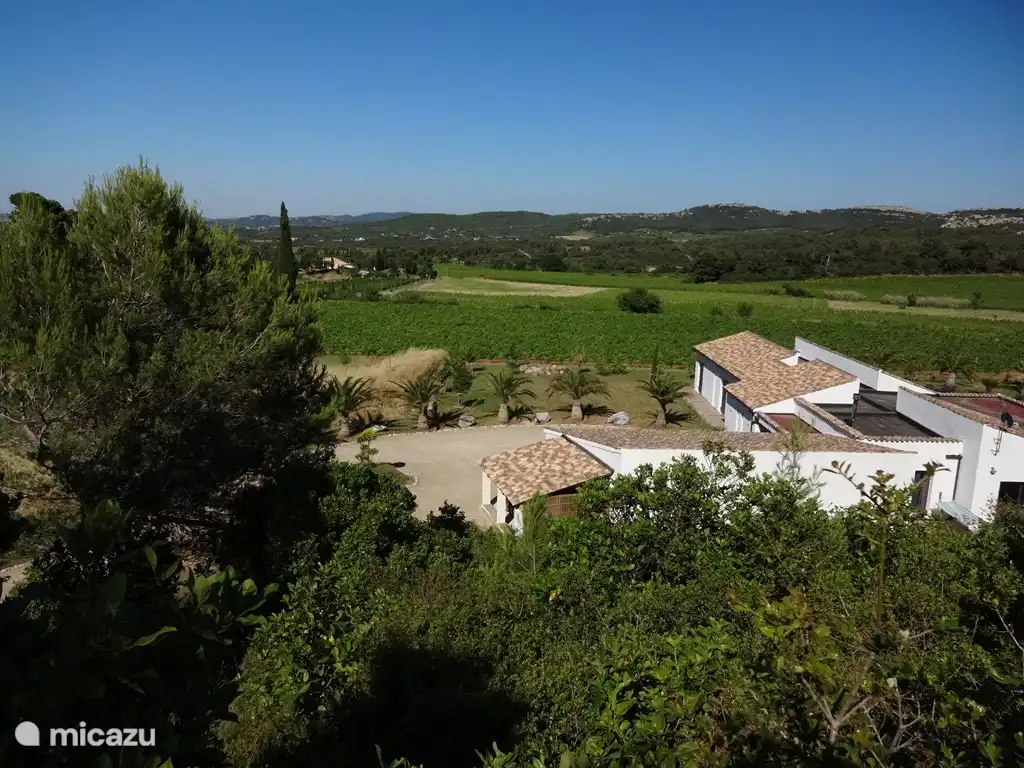 pris de la montagne forestière