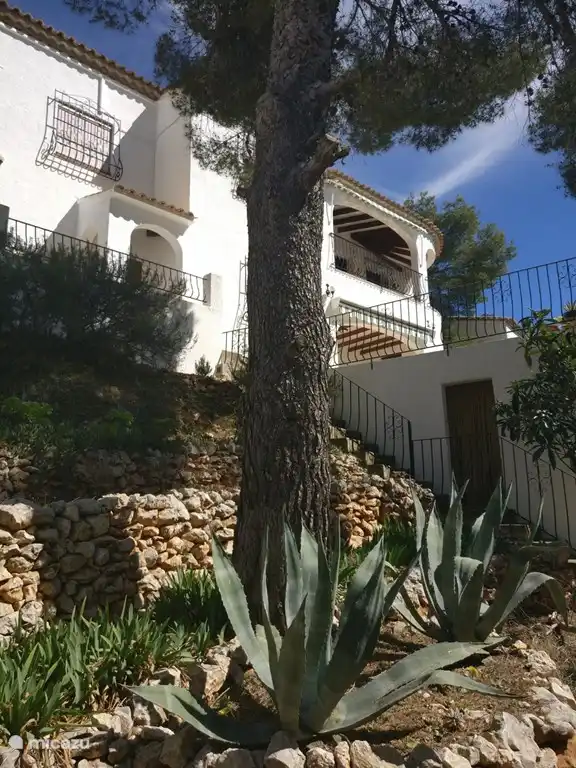 Warten auf das Eichh&#246;rnchen