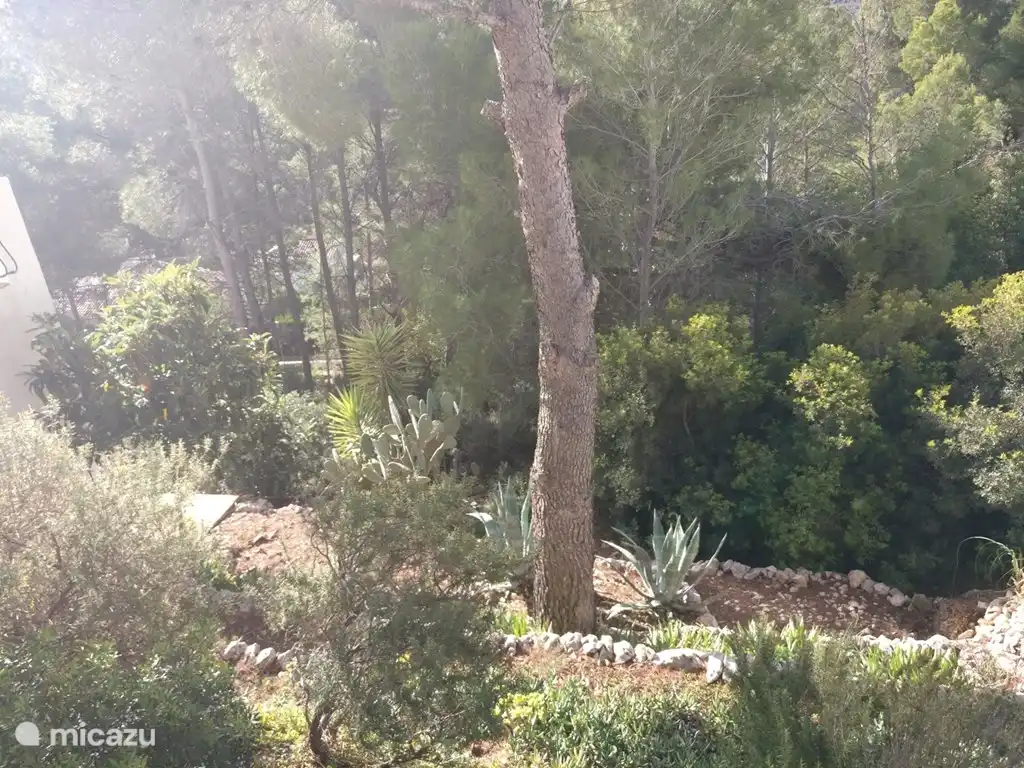 Zwischen Gr&#252;n gelegen