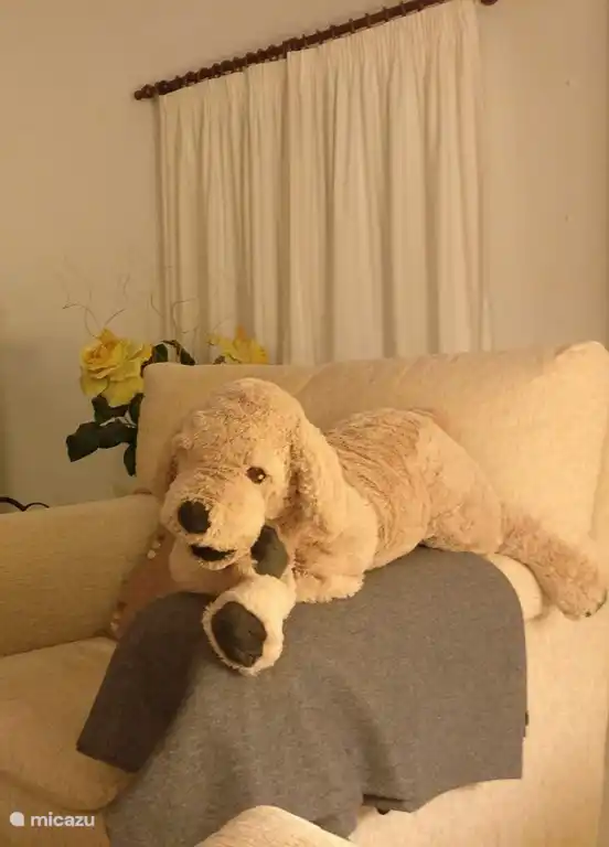 Lieber keine Haustiere - wir haben schon einen Hund ;-)