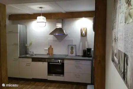 Vakantiehuis Duitsland, Thüringer Woud, Gehlberg vakantiehuis Finsterberg Keuken