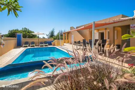 Vakantiehuis Portugal, Algarve, Carvoeiro villa Vivenda Faria Zwembad1