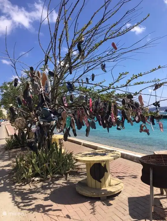 Een Bonairiaans kunstwerk.