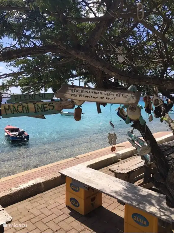 Een Bonairiaans kunstwerk.