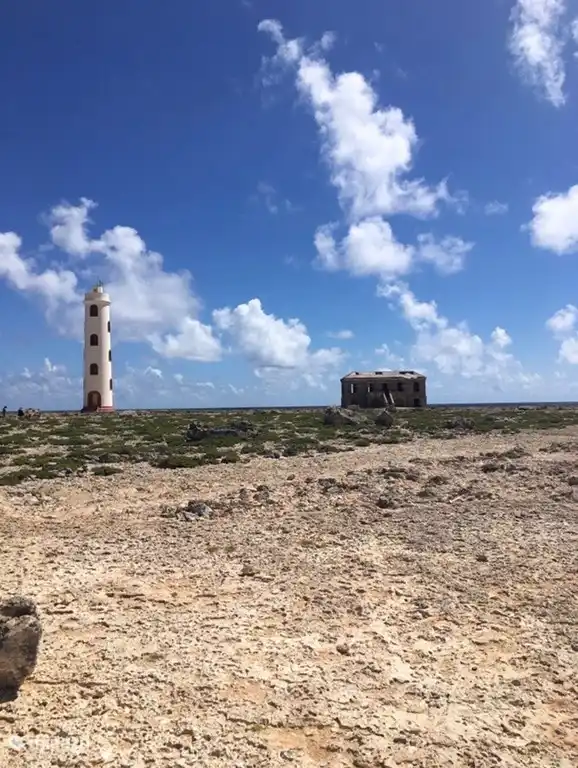 Langs de kust van Bonaire.