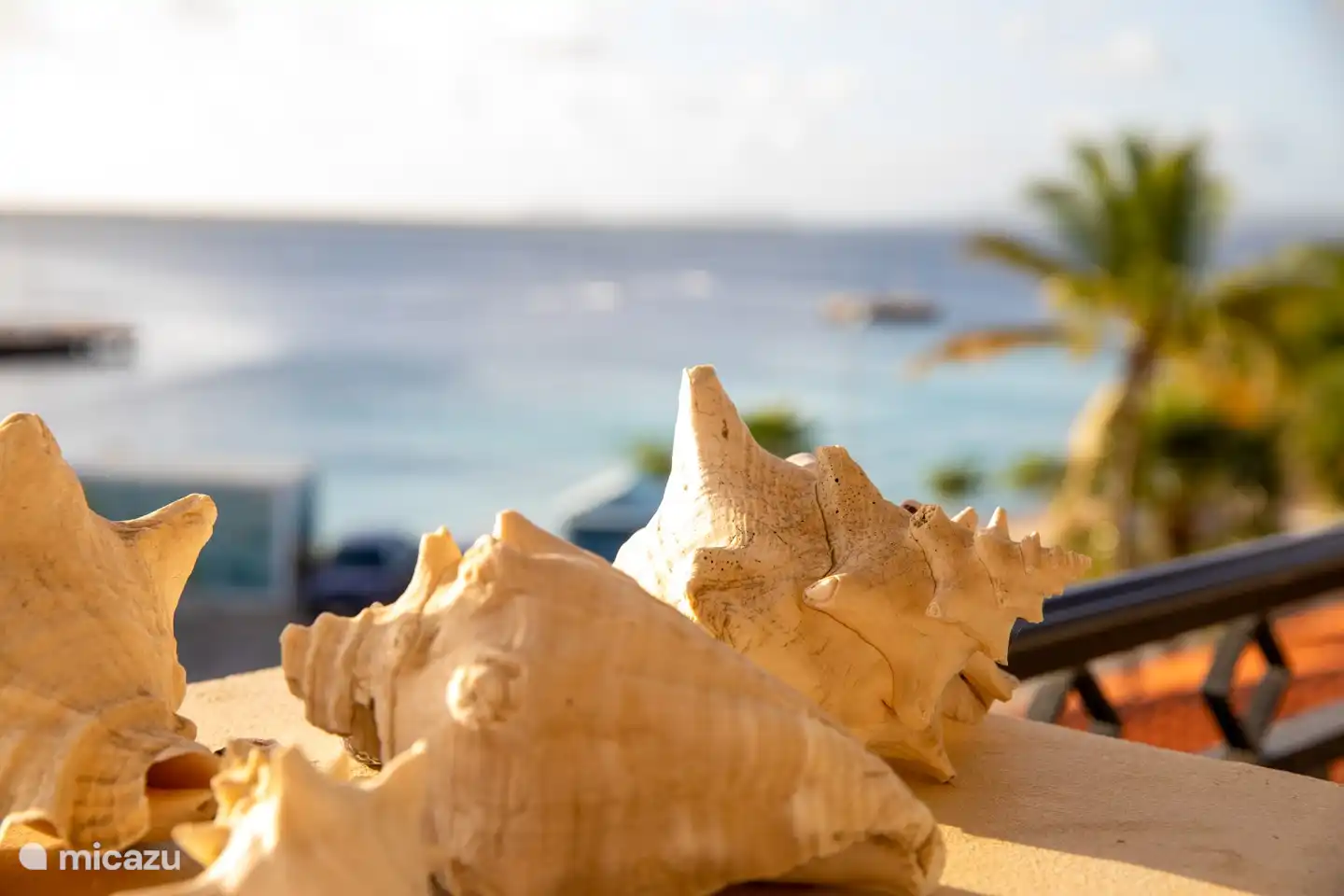 Aan zee gelegen stijlvol appartement met wijds uitzicht vanaf overdekt terras over de caribische zee. De smaakvolle afwerking van het appartement geeft u precies dat gevoel van luxueuze uitstraling waar u naar op zoek bent.