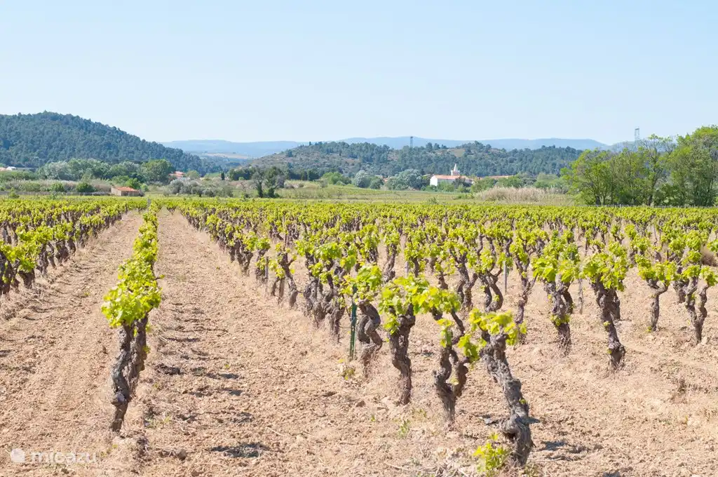 unmittelbare Umgebung