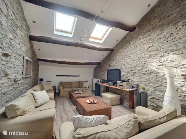 Maison de vacances de luxe 21 pers. Bouillon | Belgique, Ardennes, Bouillon - maison de vacances Salon 1