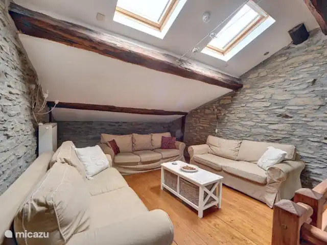 Maison de vacances de luxe 21 pers. Bouillon | Belgique, Ardennes, Bouillon - maison de vacances Salon partie 2