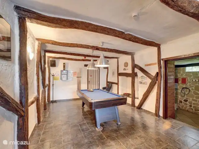 Maison de vacances de luxe 21 pers. Bouillon | Belgique, Ardennes, Bouillon - maison de vacances Billard près du parcours de bar