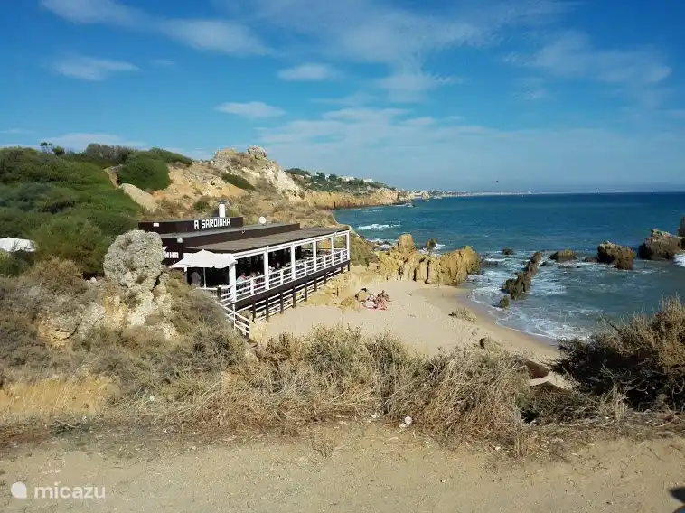 De beaux sentiers de randonnée longent toute la côte ou à moins de 800 mètres de la maison. Vous pouvez marcher ici pendant des heures.