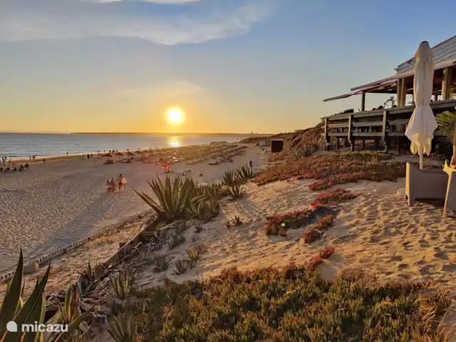 Location de Vacances Portugal, Algarve, Albufeira, villa - Villa Claire Toutes plages proches, à 800 mètres.