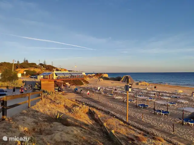 Location de Vacances Portugal, Algarve, Albufeira, villa - Villa Claire Pria Evaristo à 800 mètres