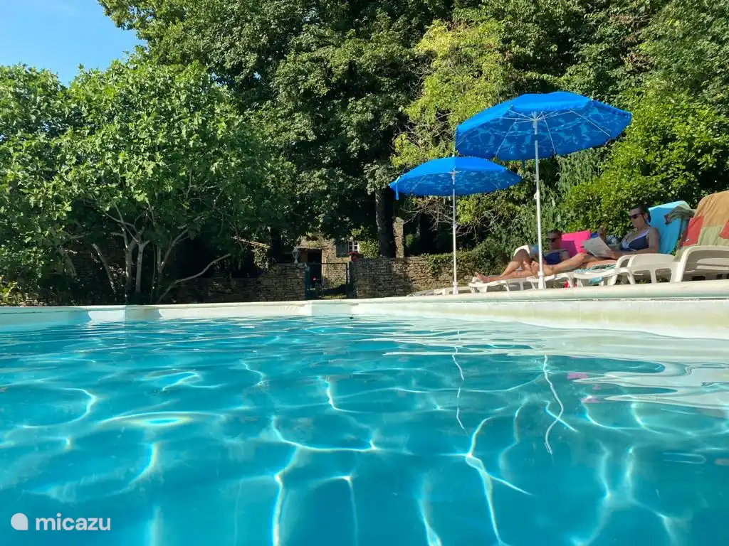 Schwimmbad und Sonnenliegen im Sommer, c'est tout..