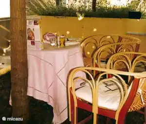 Terrace - patio - Garden