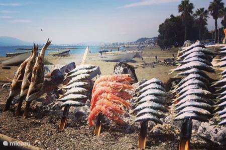 Comer sardinas en la Cala de Mijas