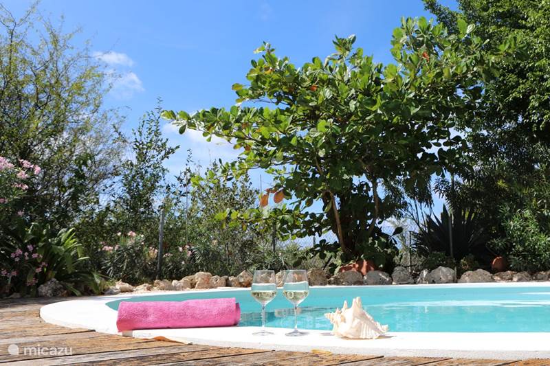 Ferienwohnung Bonaire, Bonaire, Belnem Villa OceanX Villa