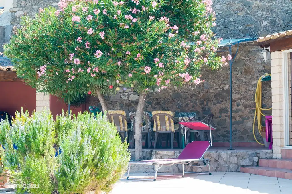 Vue de la véranda -à côté de la piscine-