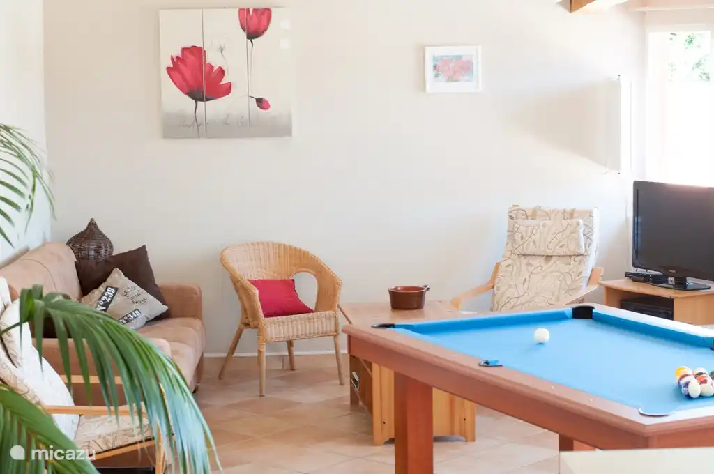 Coin salon avec télévision