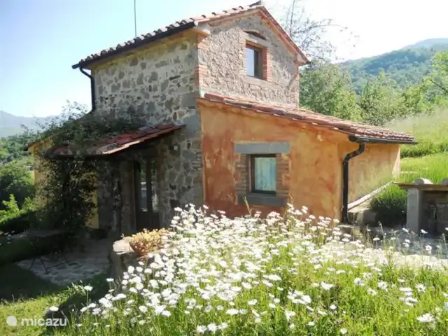 Location de Vacances Italie, Toscane, Santa Fiora, ferme - Podere di Maggio - Seccatoio Location de Vacances Italie, Toscane, Santa Fiora, ferme - Podere di Maggio - Seccatoio