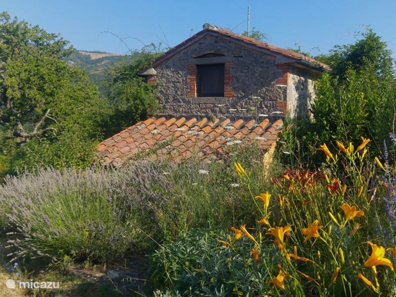 Holiday home in Italy, Tuscany, Santa Fiora Farmhouse Podere di Maggio - Seccatoio