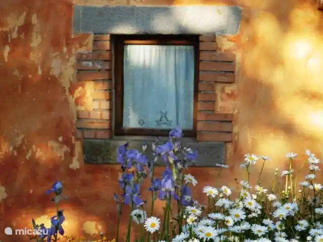 Location de Vacances Italie, Toscane, Santa Fiora, ferme - Podere di Maggio - Seccatoio La fenêtre de Seccatoio