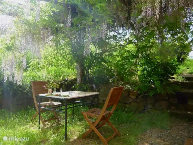 Location de Vacances Italie, Toscane, Santa Fiora, ferme - Podere di Maggio - Seccatoio La terrasse ombragée par une pergola avec glycine.