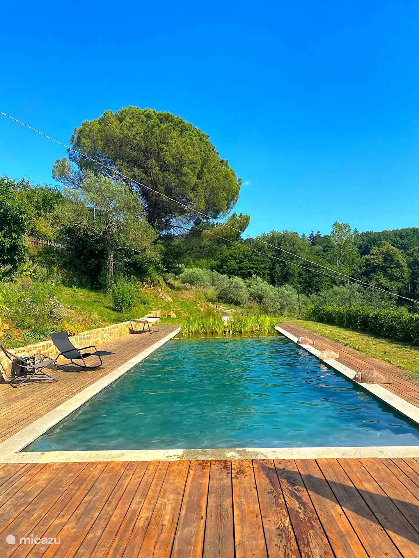 The organic swimming pool, without chlorine or other chemicals