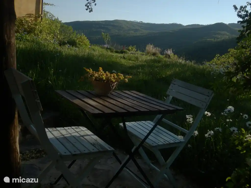 Terrace in the evening sun