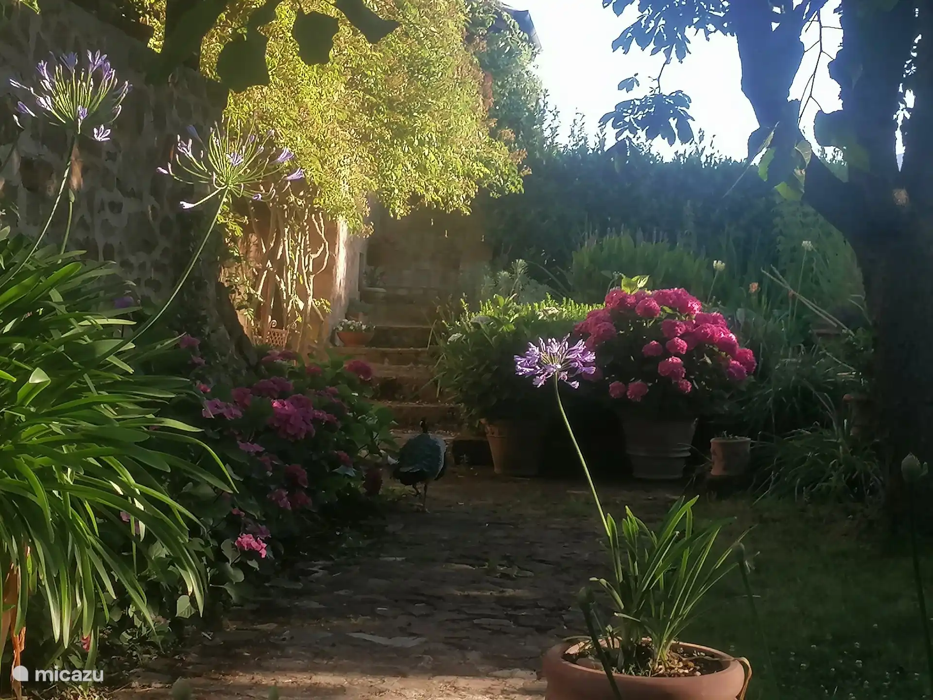 A detail of the garden