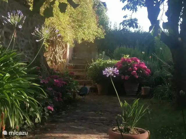 Location de Vacances Italie, Toscane, Santa Fiora, ferme - Podere di Maggio - Seccatoio Un détail du jardin