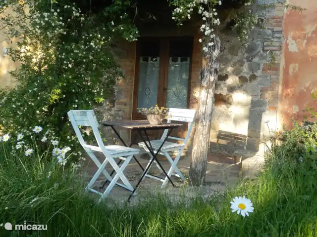 Location de Vacances Italie, Toscane, Santa Fiora, ferme - Podere di Maggio - Seccatoio La terrasse à l'avant