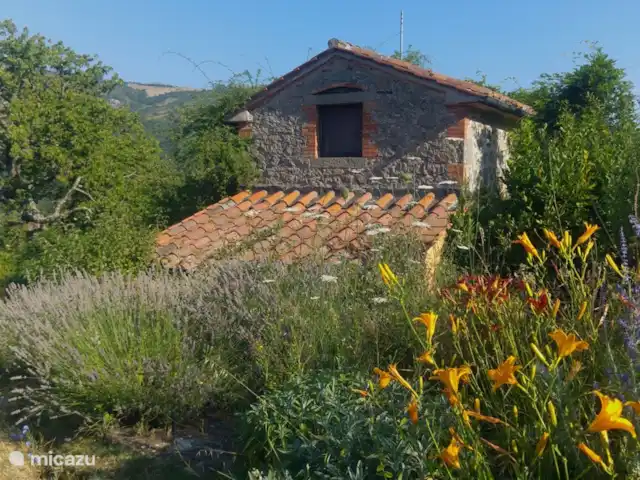 Location de Vacances Italie, Toscane, Santa Fiora, ferme - Podere di Maggio - Seccatoio Été
