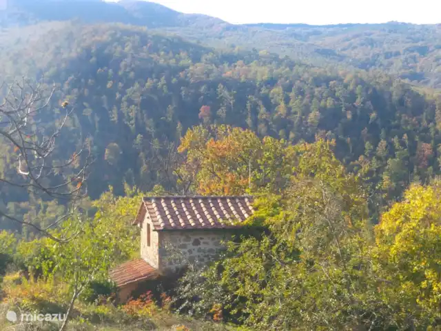 Location de Vacances Italie, Toscane, Santa Fiora, ferme - Podere di Maggio - Seccatoio Seccatoio dans la vallée