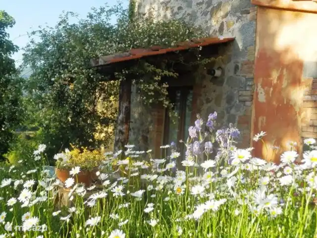 Location de Vacances Italie, Toscane, Santa Fiora, ferme - Podere di Maggio - Seccatoio Seccatoio d'entrée