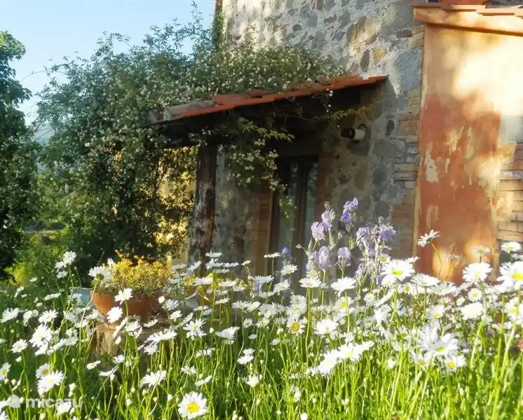 Podere di Maggio - Seccatoio