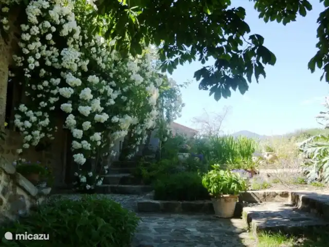 Location de Vacances Italie, Toscane, Santa Fiora, ferme - Podere di Maggio - Casa Grande Le jardin derrière la maison