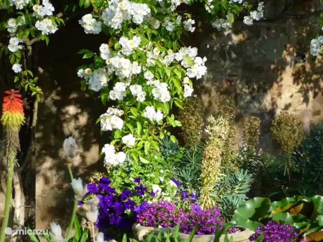 Location de Vacances Italie, Toscane, Santa Fiora, ferme - Podere di Maggio - Casa Grande Le jardin de Casa Grande