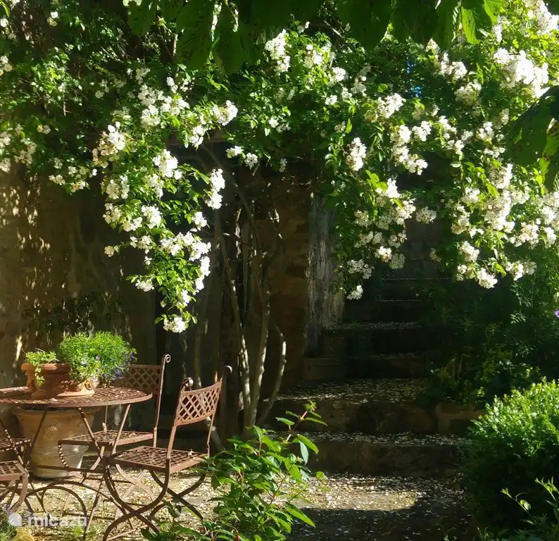 terrace in the shade