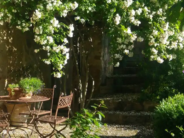 Location de Vacances Italie, Toscane, Santa Fiora, ferme - Podere di Maggio - Casa Grande terrasse à l'ombre