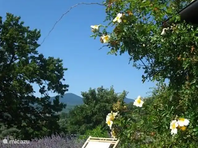 Location de Vacances Italie, Toscane, Santa Fiora, ferme - Podere di Maggio - Casa Grande terrasse au soleil