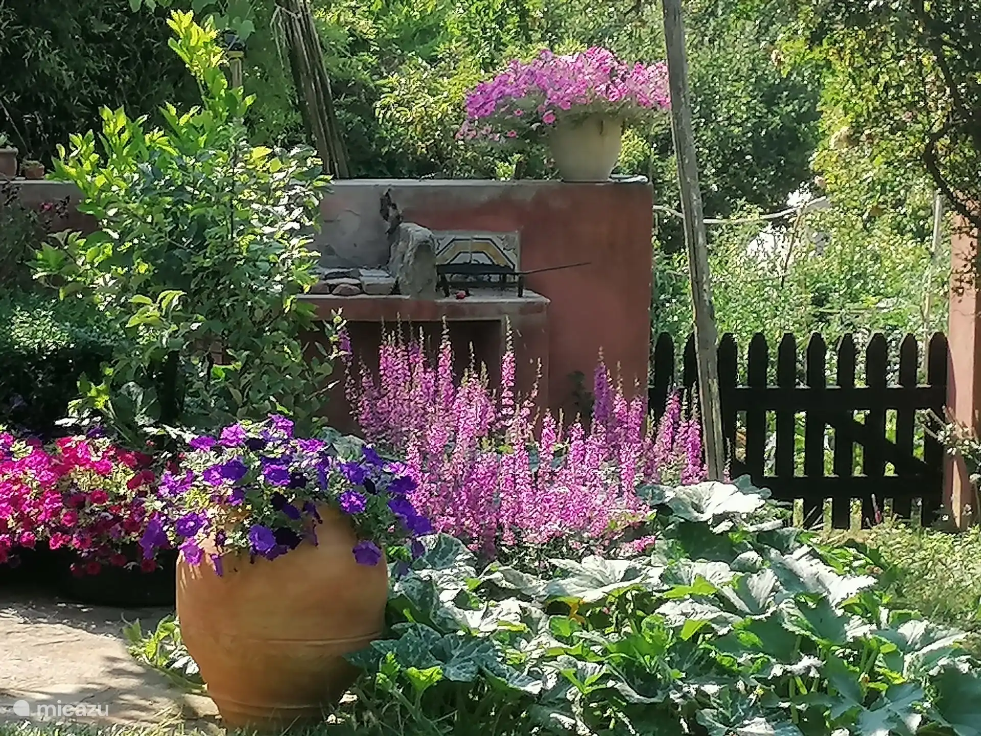 A detail of the garden
