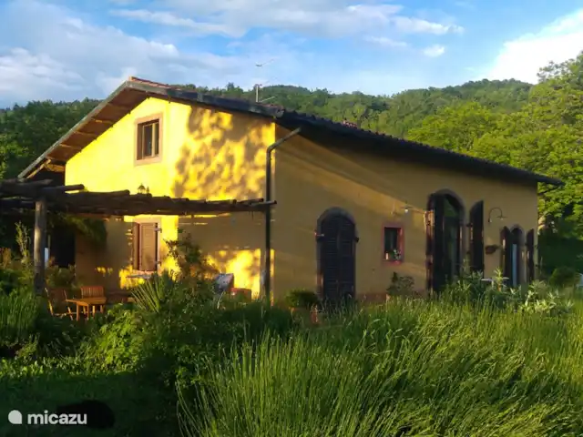Location de Vacances Italie, Toscane, Santa Fiora, ferme - Podere di Maggio - Casa della Nonna Location de Vacances Italie, Toscane, Santa Fiora, ferme - Podere di Maggio - Casa della Nonna