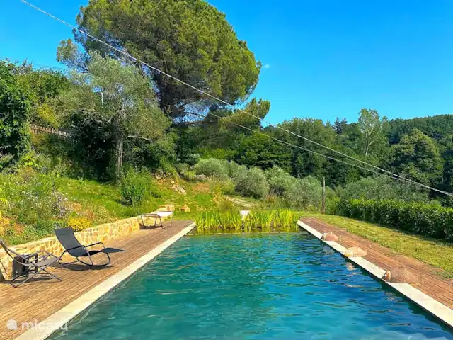 Location de Vacances Italie, Toscane, Santa Fiora, ferme - Podere di Maggio - Casa della Nonna La fantastique piscine avec de belles vues, mais sans produits chimiques.