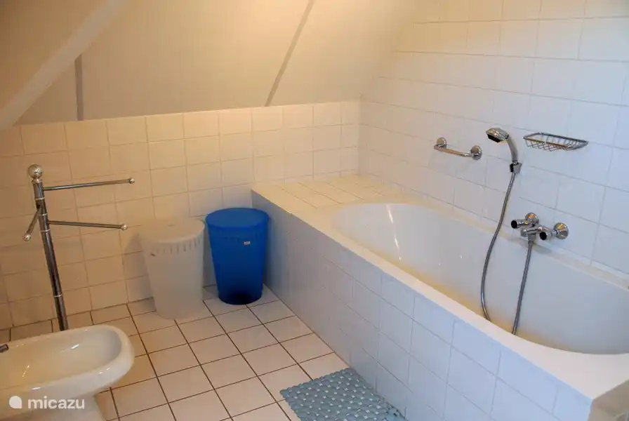 Het ligbad in de badkamer