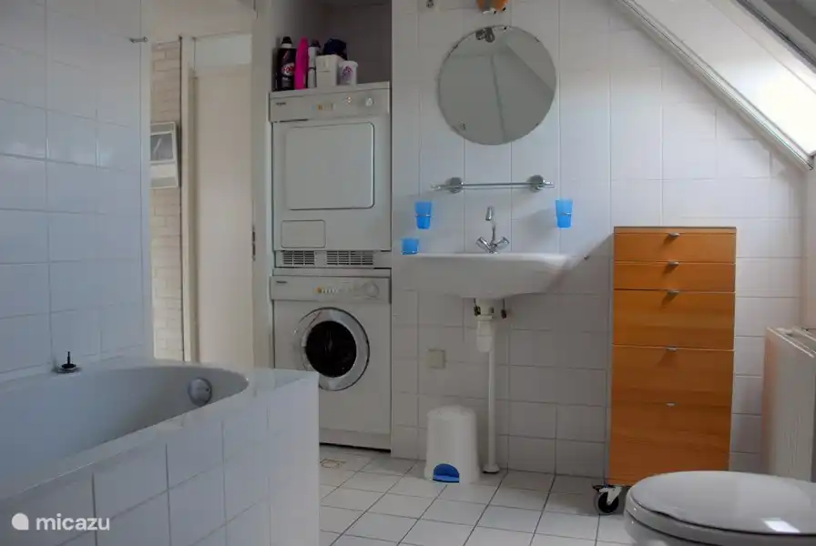 De wasapparatuur in badkamer