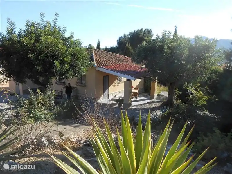 Rent Resort Entre Nosotros Jalon Valley in Jalon, Costa Blanca. Micazu