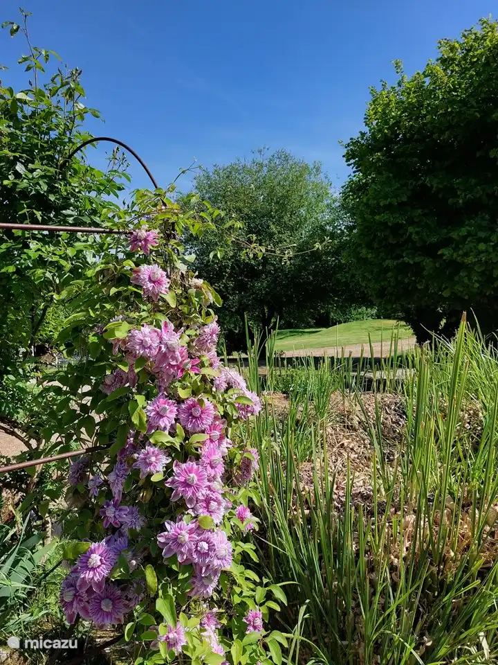 Une belle vue sur le camping