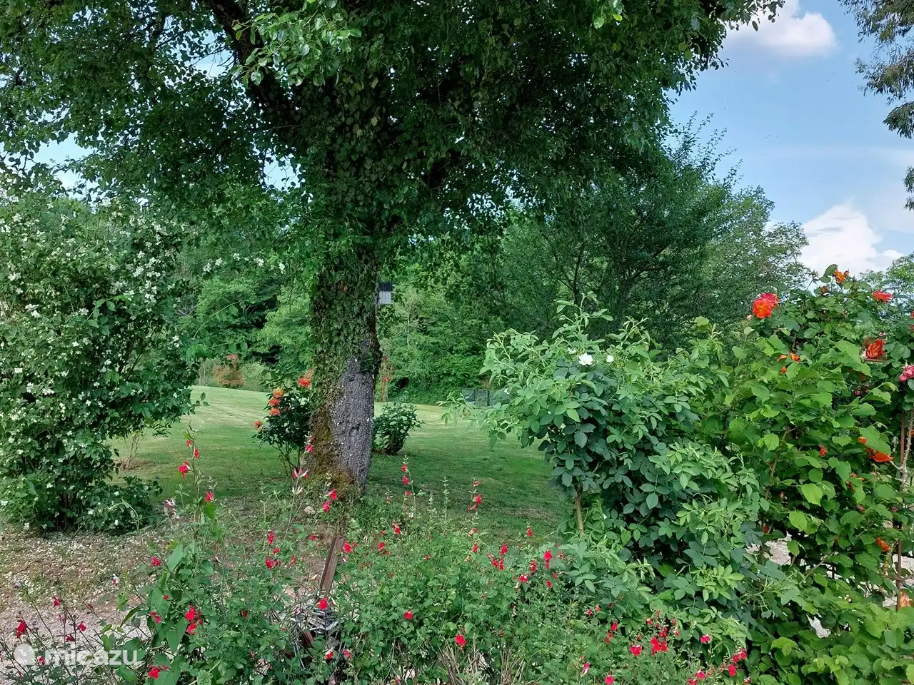 Vue à côté du gîte